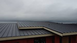 Best Roof Ventilation Installation  in Oakley, CA